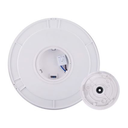 LED Zunanja svetilka 2v1 LED/12W/230V IP54