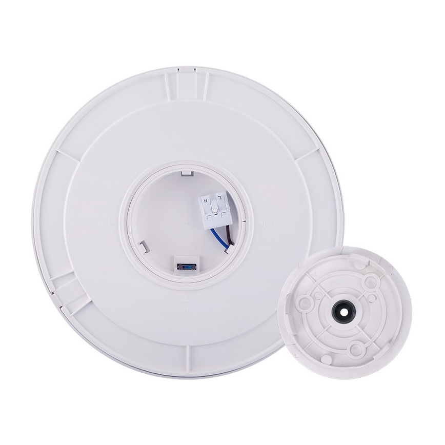 LED Zunanja svetilka 2v1 LED/12W/230V IP54