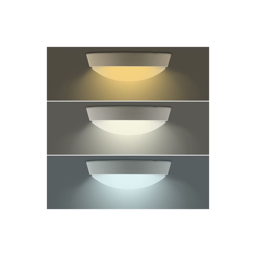 LED zunanja stenska svetilka 2 v 1 LED/20W/230V 3000/4000/6500K IP65 premer 22 cm