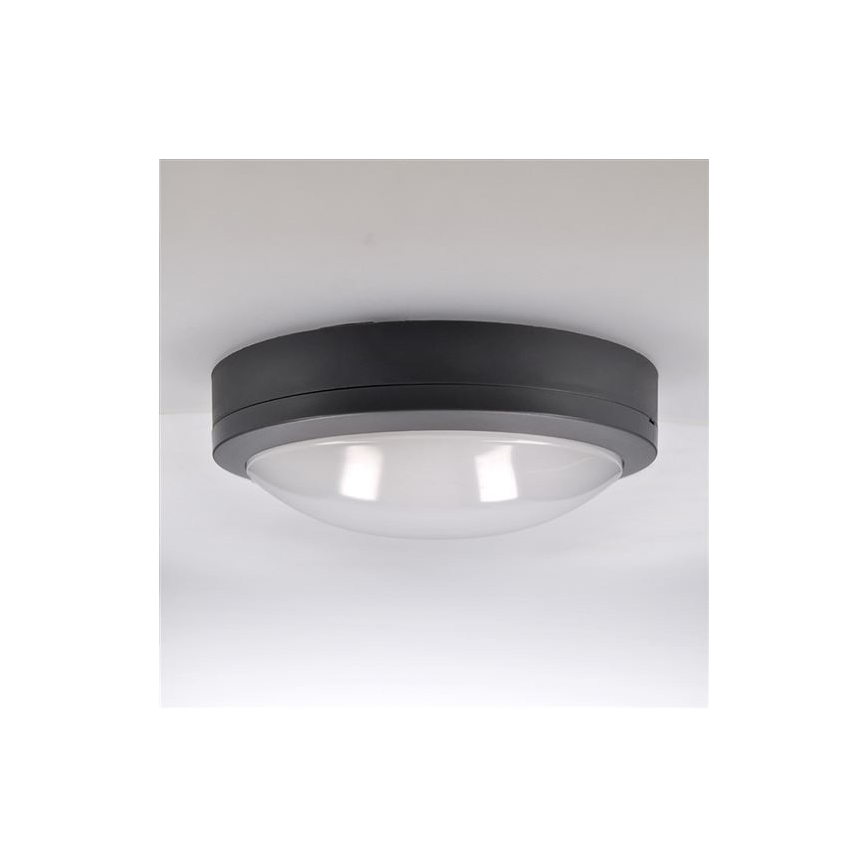 LED Zunanja stropna svetilka s senzorjem SIENA LED/20W/230V 4000K pr. 23 cm IP54
