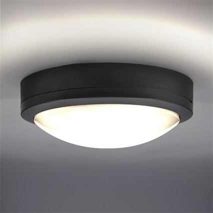 LED Zunanja stropna svetilka s senzorjem SIENA LED/20W/230V IP54