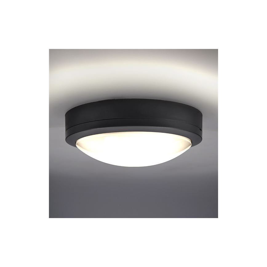 LED Zunanja stropna svetilka s senzorjem SIENA LED/20W/230V 4000K pr. 23 cm IP54