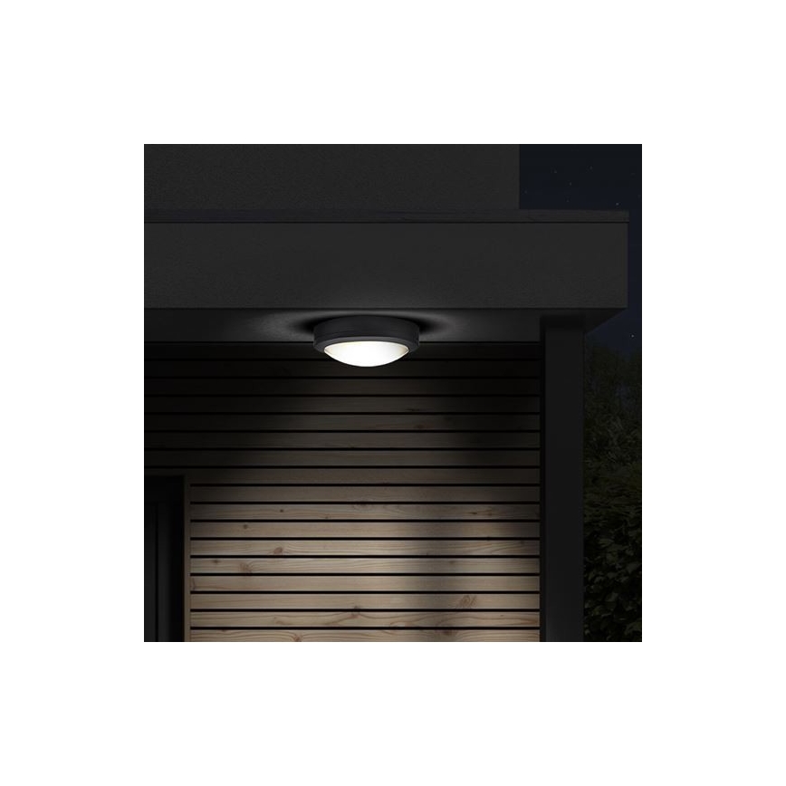 LED Zunanja stropna svetilka s senzorjem SIENA LED/20W/230V 4000K pr. 23 cm IP54