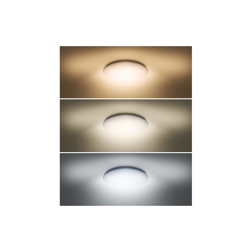 LED Stropna svetilka PLAIN LED/24W/230V 3000K/4000K/6000K okrogla