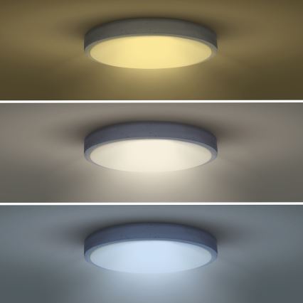 LED Zatemnitvena stropna svetilka GREY LED/60W/230V 3000-6500K siva pr. 49 cm + Daljinski upravljalnik