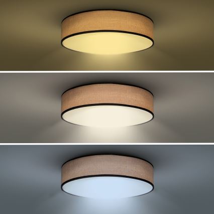 LED Zatemnitvena stropna svetilka BROWNIE LED/48W/230V 3000-6500K rjava pr. 40 cm + Daljinski upravljalnik
