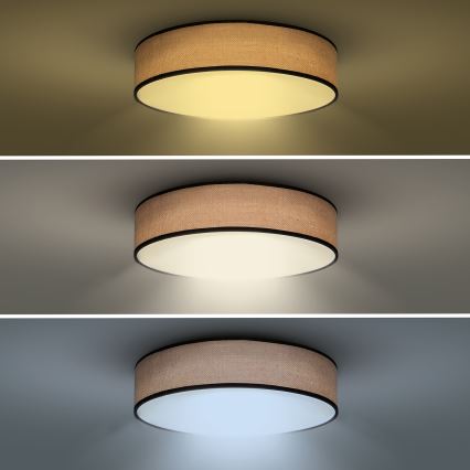 LED Zatemnitvena stropna svetilka BROWNIE LED/60W/230V 3000-6500K rjava pr. 50 cm + Daljinski upravljalnik