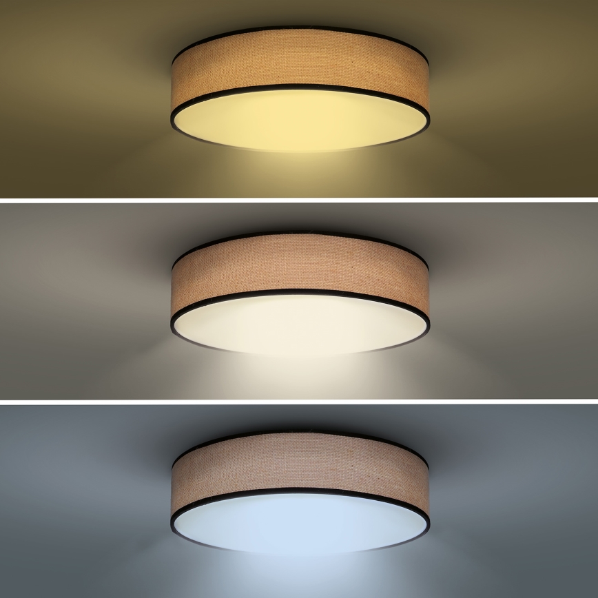 LED Zatemnitvena stropna svetilka BROWNIE LED/60W/230V 3000-6500K rjava pr. 50 cm + Daljinski upravljalnik
