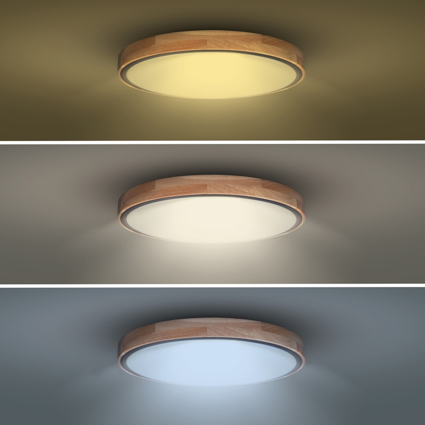 LED Zatemnitvena stropna svetilka IRON OAK LED/48W/230V 3000-6500K hrast pr. 40 cm + Daljinski upravljalnik