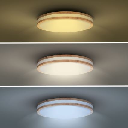 LED Zatemnitvena stropna svetilka WOODY LED/60W/230V 3000-6500K hrast pr. 50 cm + Daljinski upravljalnik