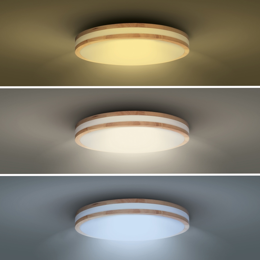LED Zatemnitvena stropna svetilka WOODY LED/60W/230V 3000-6500K hrast pr. 50 cm + Daljinski upravljalnik