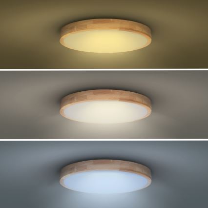 LED Zatemnitvena stropna svetilka SOLID OAK LED/48W/230V 3000-6500K hrast pr. 39 cm + Daljinski upravljalnik