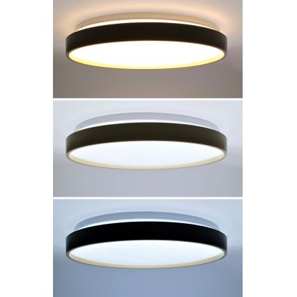 LED Zatemnitvena stropna svetilka CALA LED/48W/230V 3000-6500K črna/zlata + Daljinski upravljalnik