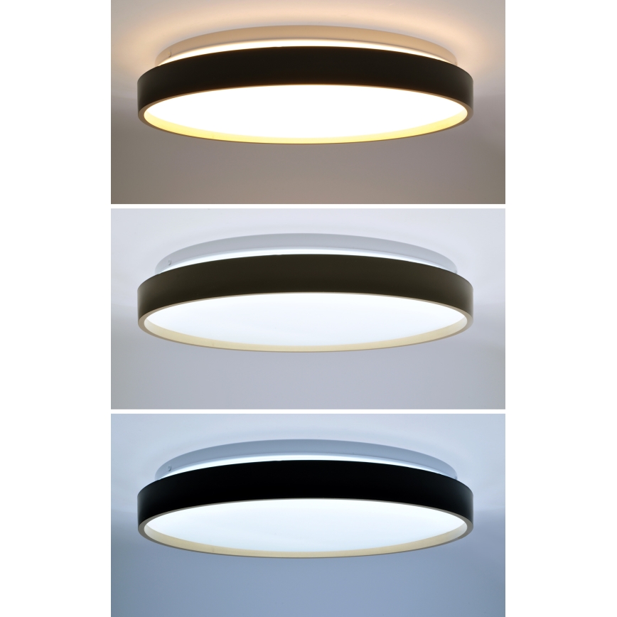 LED Zatemnitvena stropna svetilka CALA LED/48W/230V 3000-6500K črna/zlata + Daljinski upravljalnik