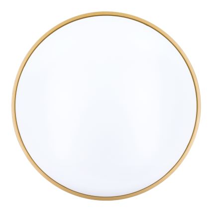 LED Zatemnitvena stropna svetilka CALA LED/48W/230V 3000-6500K črna/zlata + Daljinski upravljalnik
