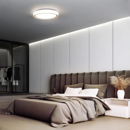 LED RGB Zatemnitvena stropna svetilka FLOCO LED/30W/230V 3000-6500K + RGB/6W pr. 40cm + Daljinski upravljalnik