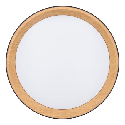 LED Zatemnitvena stropna svetilka LARIOS LED/48W/230V 3000-6500K pr. 39 cm črna + Daljinski upravljalnik
