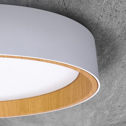LED zatemnilna stropna svetilka LARIOS LED/48W/230V 3000-6500K premer 39 cm bela + daljinski upravljalnik