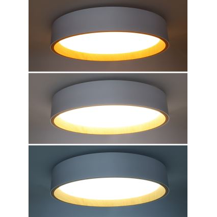LED Zatemnitvena stropna svetilka LARIOS LED/48W/230V 3000-6500K pr. 39 cm bela + Daljinski upravljalnik