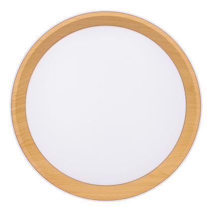 LED Zatemnitvena stropna svetilka LARIOS LED/48W/230V 3000-6500K pr. 39 cm bela + Daljinski upravljalnik