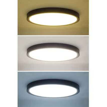 LED Zatemnitvena stropna svetilka ESTELA LED/36W/230V pr. 30 cm črna + Daljinski upravljalnik
