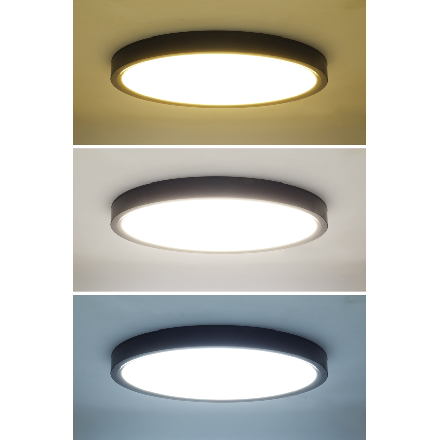 LED Zatemnitvena stropna svetilka ESTELA LED/36W/230V pr. 30 cm črna + Daljinski upravljalnik