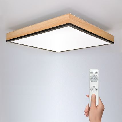 Solight WO802 - LED Zatemnitvena stropna svetilka LED/40W/230V 3000-6500K + Daljinski upravljalnik