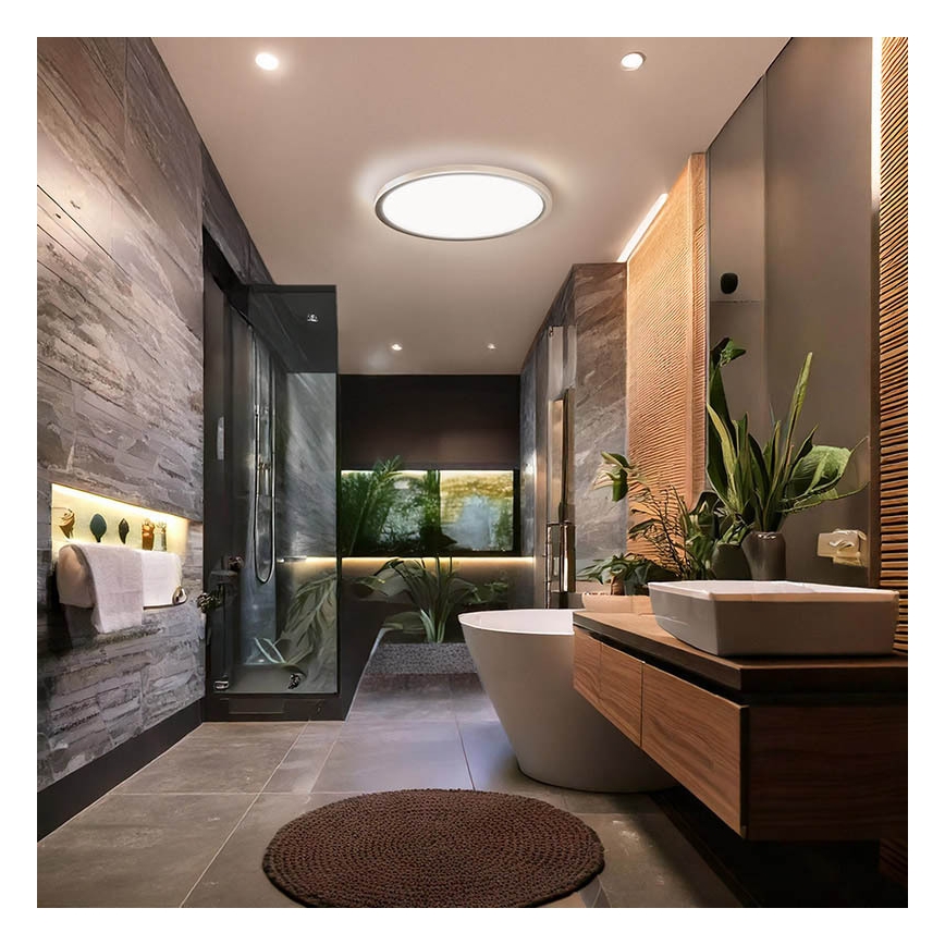 Kopalniško stropno LED-svetilo ACATE, 24 W, 230 V, 3000/4000/6000 K, premer 29,3 cm, IP54
