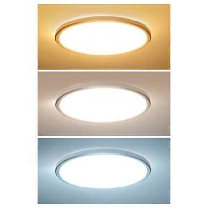 Kopalniško stropno LED-svetilo ACATE, 24 W, 230 V, 3000/4000/6000 K, premer 29,3 cm, IP54