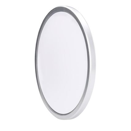 Kopalniško stropno LED-svetilo ACATE, 24 W, 230 V, 3000/4000/6000 K, premer 29,3 cm, IP54