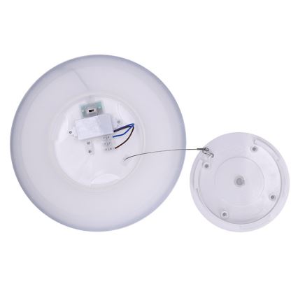 Kopalniško stropno LED-svetilo ACATE, 24 W, 230 V, 3000/4000/6000 K, premer 29,3 cm, IP54