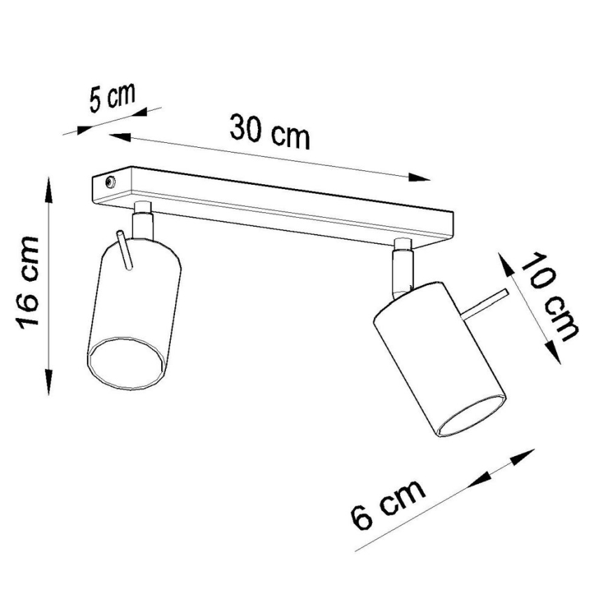 Stropni reflektor RING 2xGU10/10W/230V