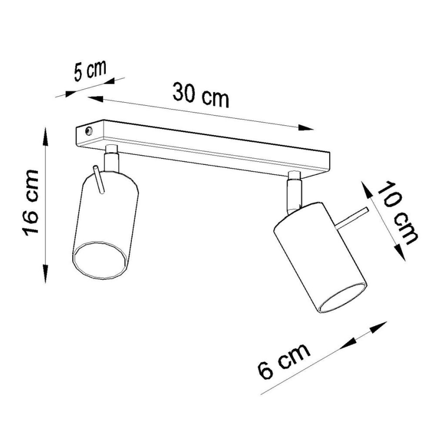 Reflektor RING 2xGU10/10W/230V