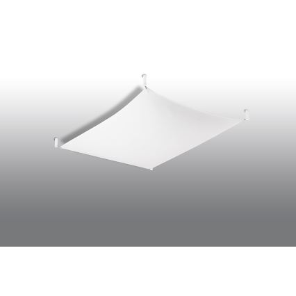 LED stropna svetilka LUNA 2xG13/8,5W/230V 80x105 cm bela