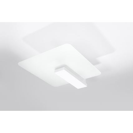 Stropno svetilo LAPPO 2xE27/15W/230V belo