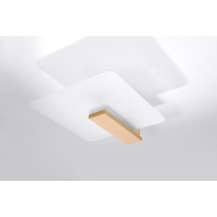 Stropna svetilka LAPPO 2xE27/15W/230V bež