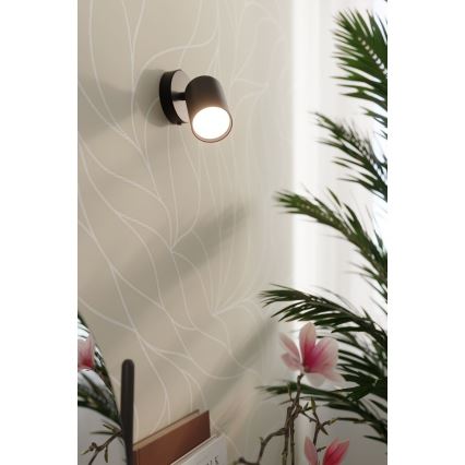 Stenski reflektor LEMMI 1xGU10/40W/230V črna