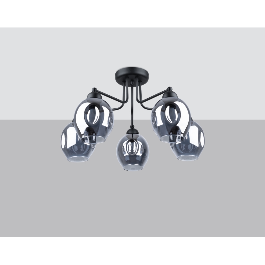 Lestenec na drogu FILLAN 5xE27/60W/230V črna