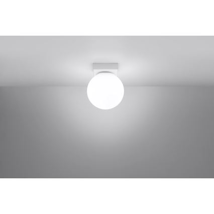 Stropna svetilka YOLI 1xG9/12W/230V bela
