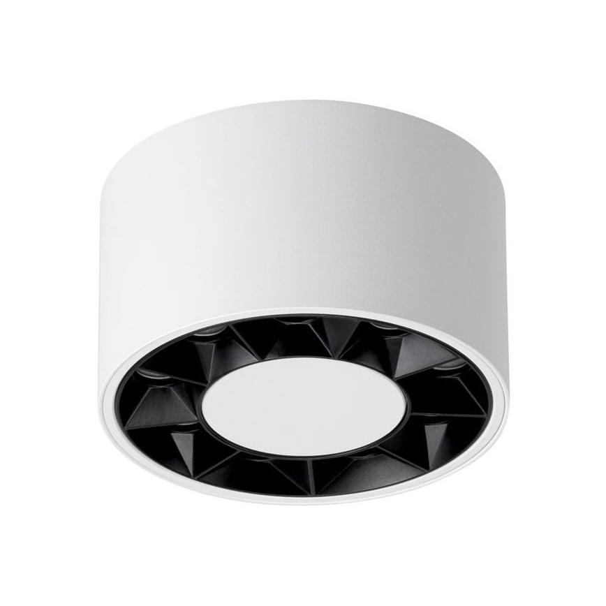 LED Reflektor DIO LED/10W/230V bela