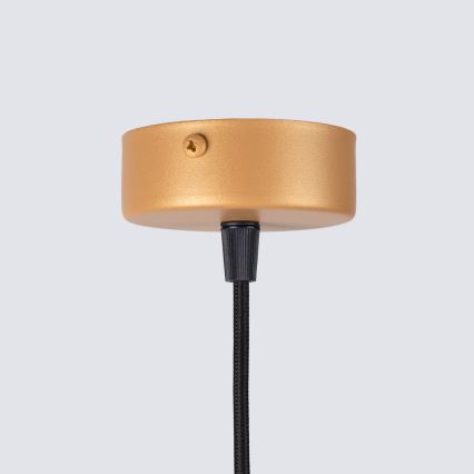 Lestenec na vrvici ARCHE 1xG9/8W/230V zlata