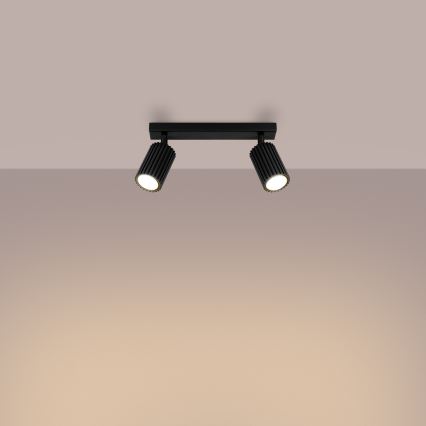 Reflektor KARBON 2xGU10/10W/230V črna