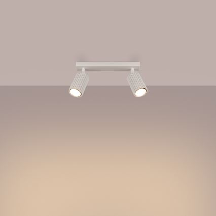 Reflektor KARBON 2xGU10/10W/230V krem barva