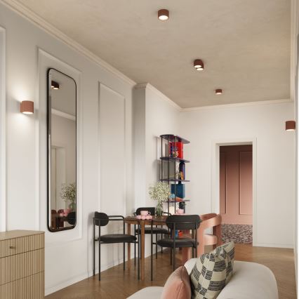 Točkovno svetilo AURA 2xGX53/10W/230V rjavo