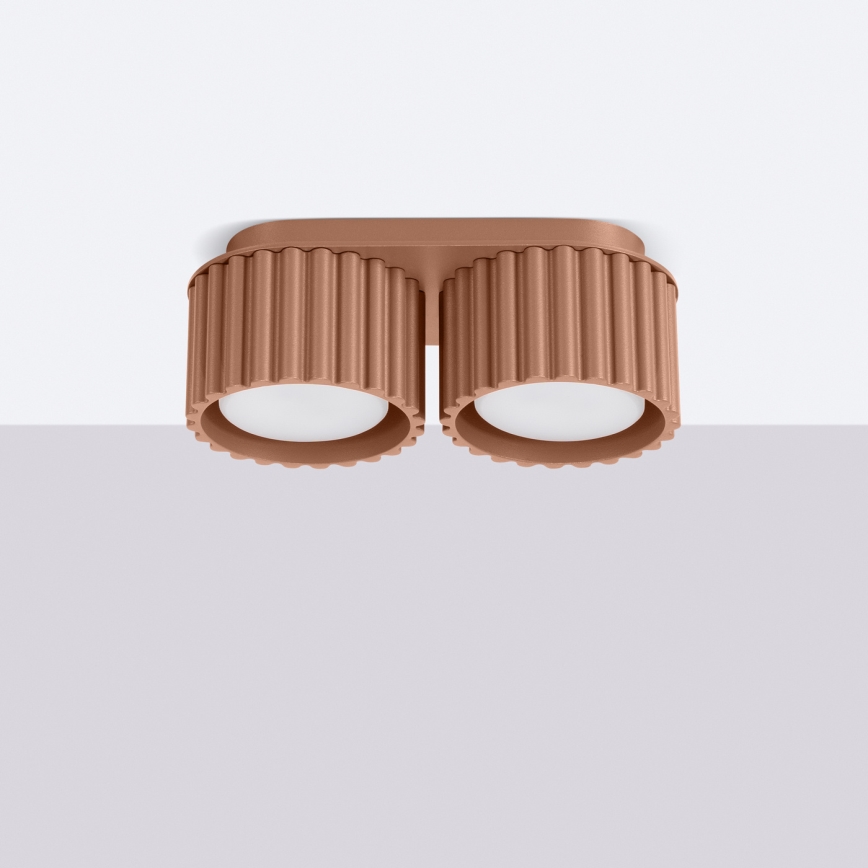 Točkovno svetilo AURA 2xGX53/10W/230V rjavo