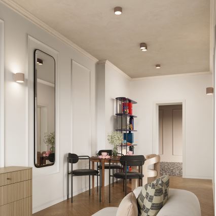 Usmerljiva svetilka AURA 2xGX53/10W/230V taupe