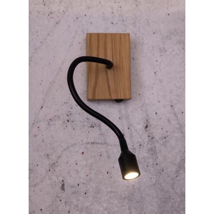 LED Stenska svetilka LECTOR LED/2,5W/230V hrast