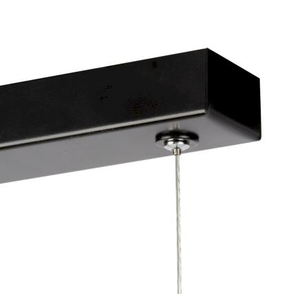 LED Zatemnitveni lestenec na vrvici LUCAS LED/25,5W/230V bor