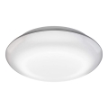 Steinel 035440 - LED Zunanja svetilka s senzorjem QUATTRO LED/10W/230V IP54