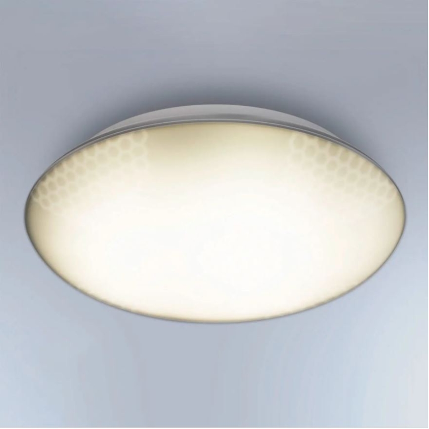 Steinel 035440 - LED Zunanja svetilka s senzorjem QUATTRO LED/10W/230V IP54